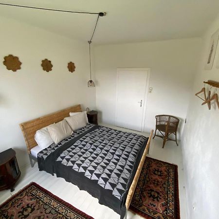 Landhaus Suedburgenland Villa Olbendorf Eksteriør bilde