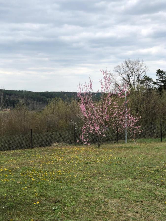 Landhaus Suedburgenland Villa Olbendorf Eksteriør bilde